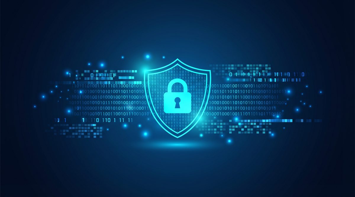 驯虎加速器隐私安全保护